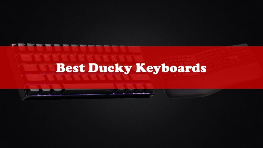 10 Best Ducky Keyboards 2022 – Top Gaming Peripherals